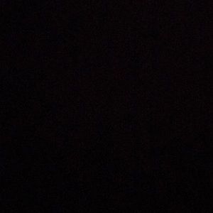 Meet your Posher, Daisy